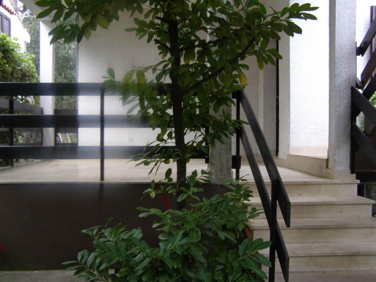 Apartment In Petrcane/Zadar Riviera 7866 Kültér fotó